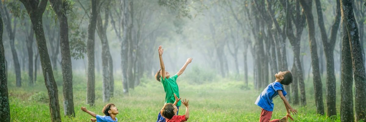 four boy playing ball on green grass